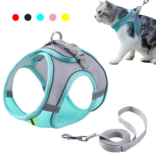 Adjustable Pet Harness & Leash Set